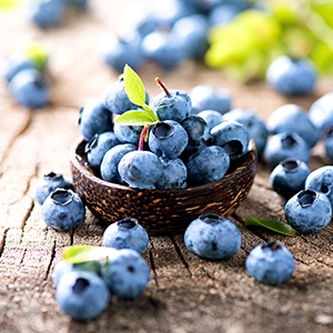 Brooksville Blueberry Festival is two days of music, food, family, fun, and of course, blueberries!